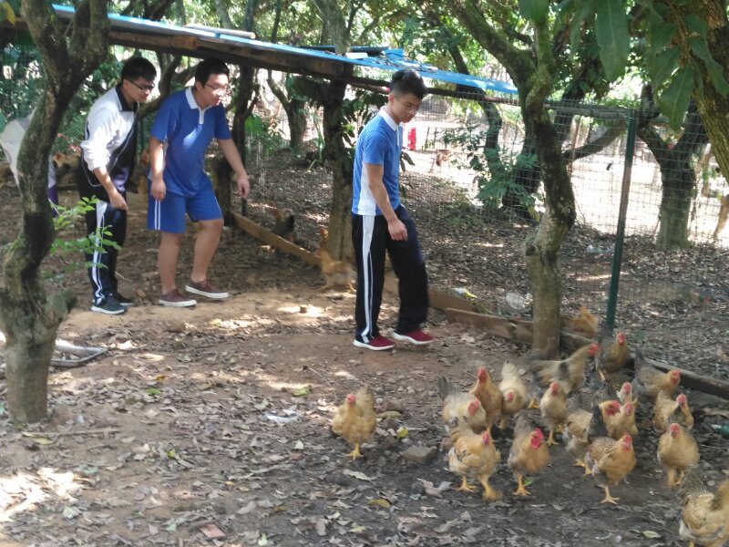 深圳城市學院高考復讀學校